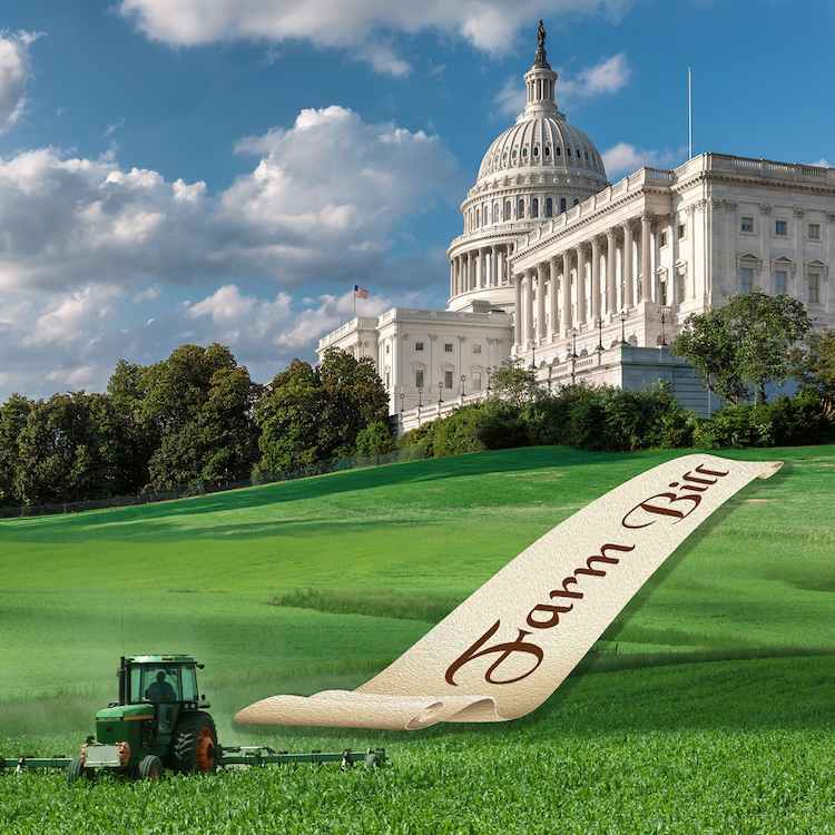 Senate Ag Committee passes farm bill, sends to full Senate